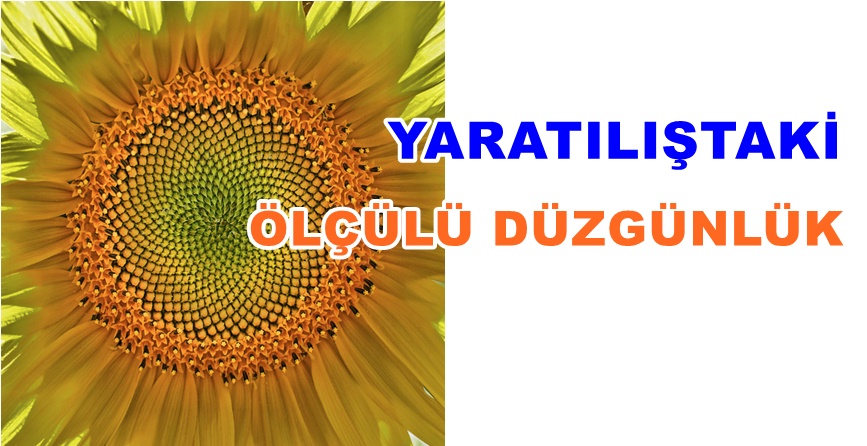 Bediüzzaman Said Nursi tarafından yazılan ve Kur’an-ı Kerim’in günümüzde en