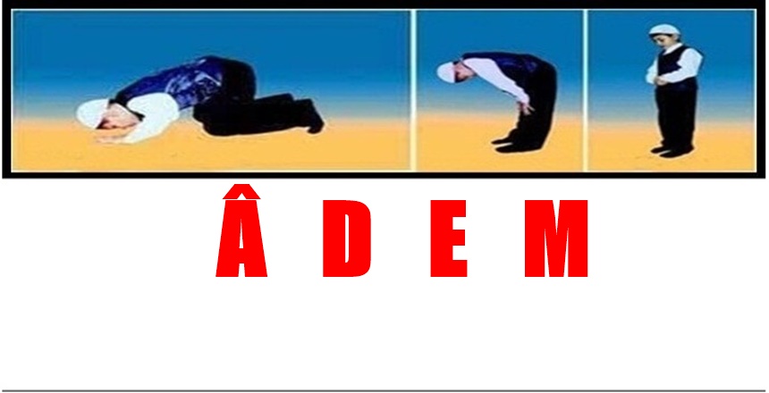 HASAN PİR’İN KÖŞE YAZISI Ölüm anındaki sözler çok önemlidir. Çünkü