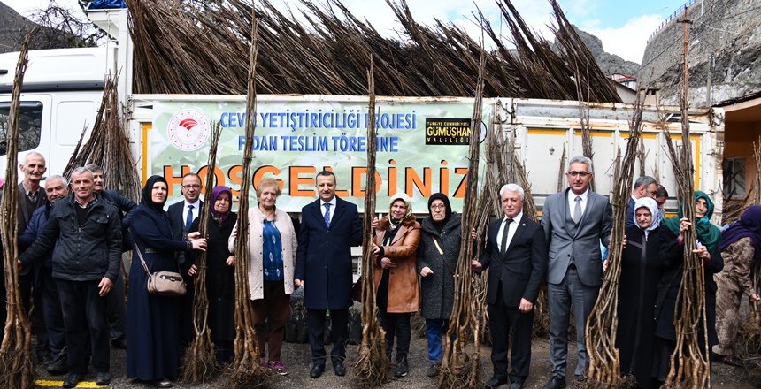 Gümüşhane’de üreticilere Tarım ve Orman İl Müdürlüğü’nce 36 bin ceviz