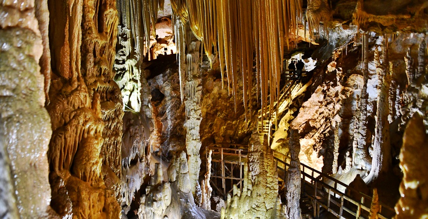 Gümüşhane Valisi Kamuran Taşbilek: Birleşmiş Milletler, Eğitim, Bilim ve Kültür