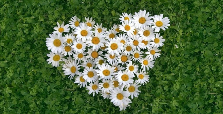 Diyorsun: Benim taamlara, nefsime, refikama, valideynime, evladıma, ahbabıma, evliyaya, enbiyaya,