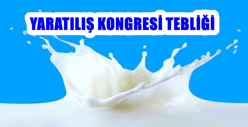 Atatürk Üniversitesi öncülüğünde 8-9 Kasım 2018 tarihlerinde  Erzurum’da yapılan  “2.