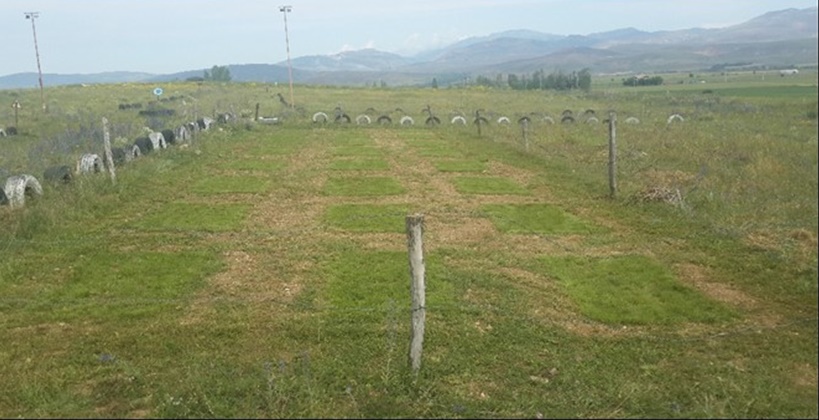 Gümüşhane Üniversitesi Kelkit Aydın Doğan Meslek Yüksekokulu Organik Tarım Programı