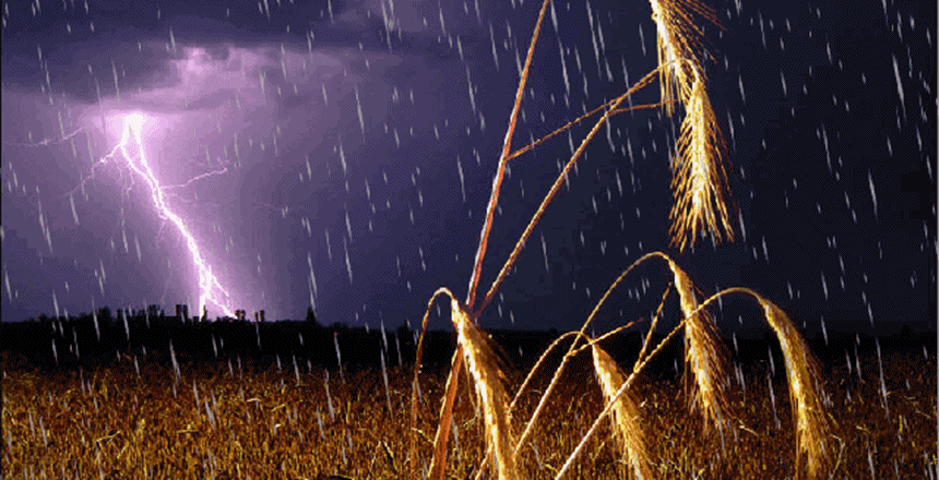 Hem dini hem de ilmi kaynaklarca vücuda şifalı olduğu belirtilen