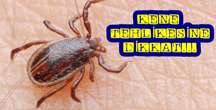 GÜMÜŞHANE İL SAĞLIK MÜDÜRLÜĞÜ BİLGİ NOTU Kırım-Kongo Kanamalı Ateşi (KKKA)