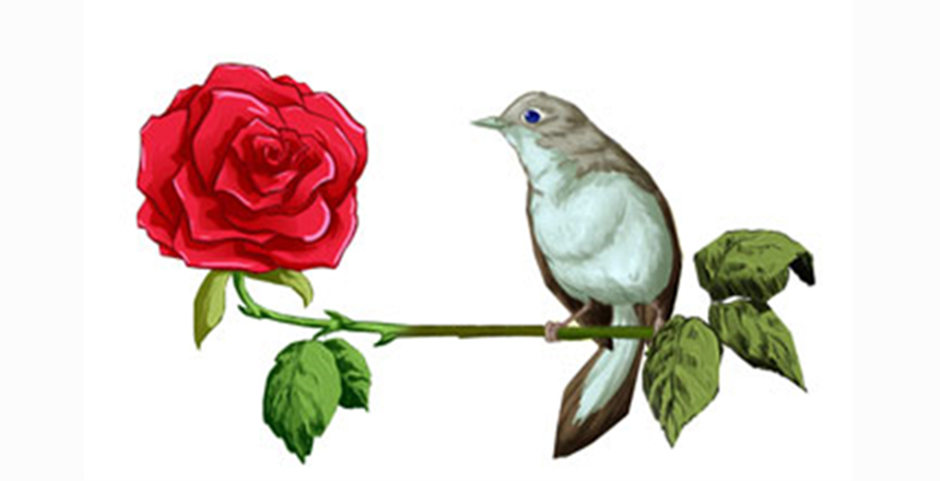 İSA AKGÜL’ÜN KÖŞE YAZISI Yeryüzünün ve evrenin yaratılmasının temelinde, özünde