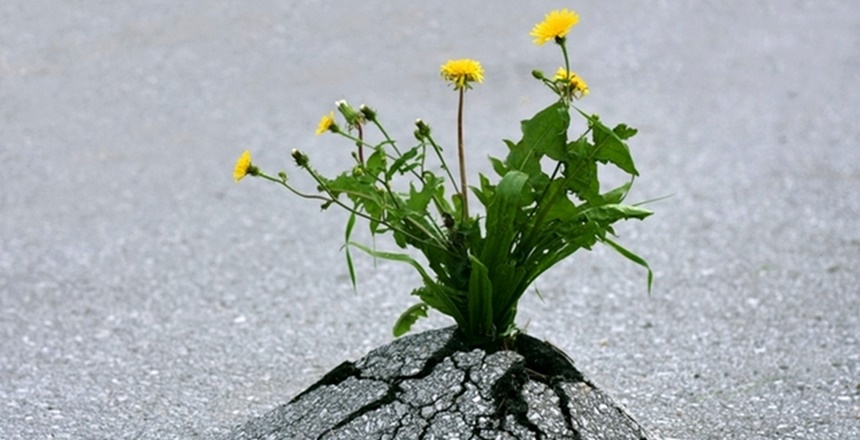 İSA AKGÜL’ÜN KÖŞE YAZISI Bir insanın yaşamında etki ve hatırası