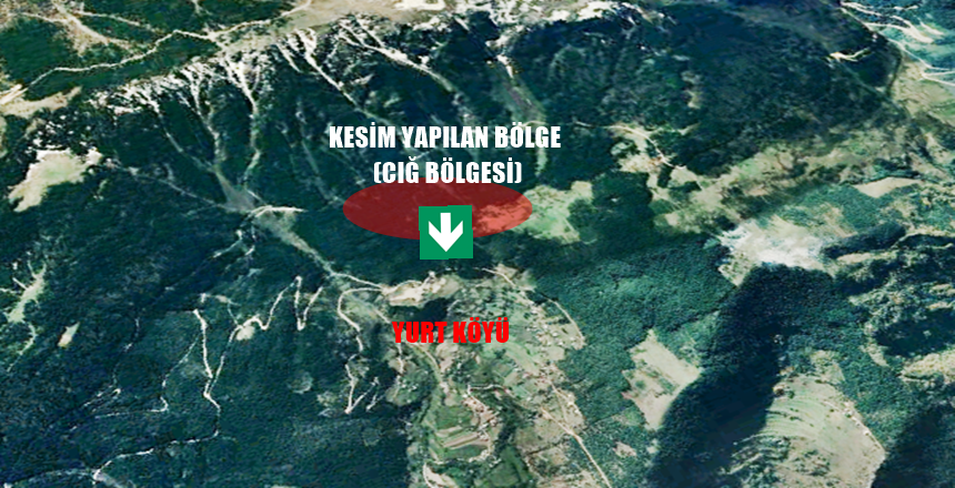 TORUL YURT KÖYÜNDEKİ AĞAÇ KESİMİ, CIĞ VE SEL AFETİNE DAVETİYE