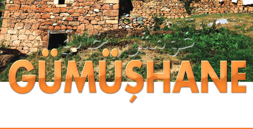 Doğu Karadeniz Kalkınma Ajansı (DOKA) kuruluğu günden bugüne kurumsal görevlerini