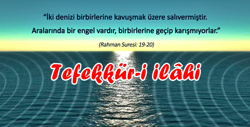 Video Kaynak: FEYYAZ.TV & https://feyyaz.org