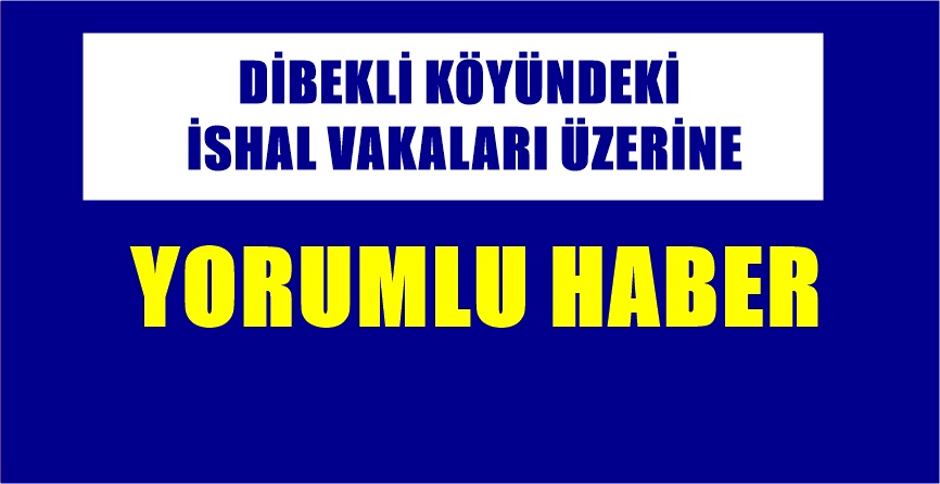 HASAN PİR Gümüşhane Merkez Dibekli köyünde 6 Temmuz 2019 Cumartesi