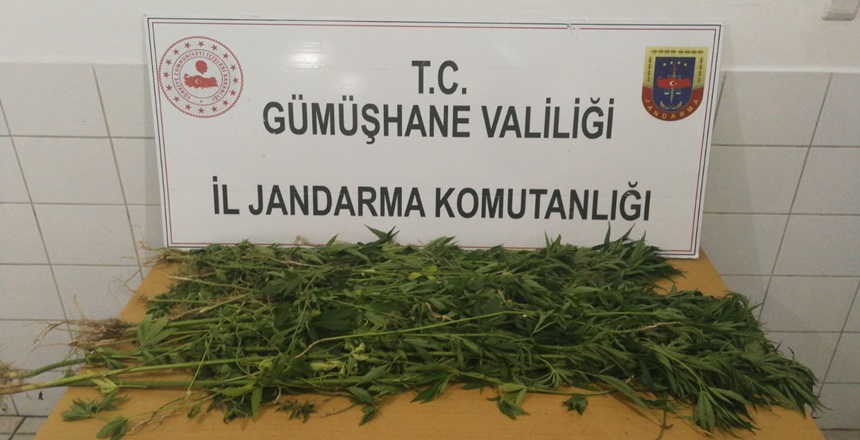 Jandarma 156 ihbar hattına yapılan bir ihbarı değerlendiren Gümüşhane İl