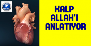 Bir basit iğne bile ustasız olmazken, yer yüzünün en mükemmel