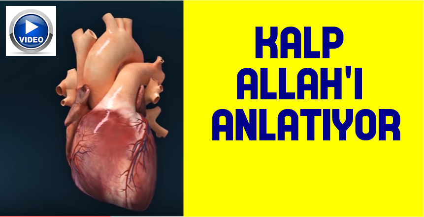 Bir basit iğne bile ustasız olmazken, yer yüzünün en mükemmel