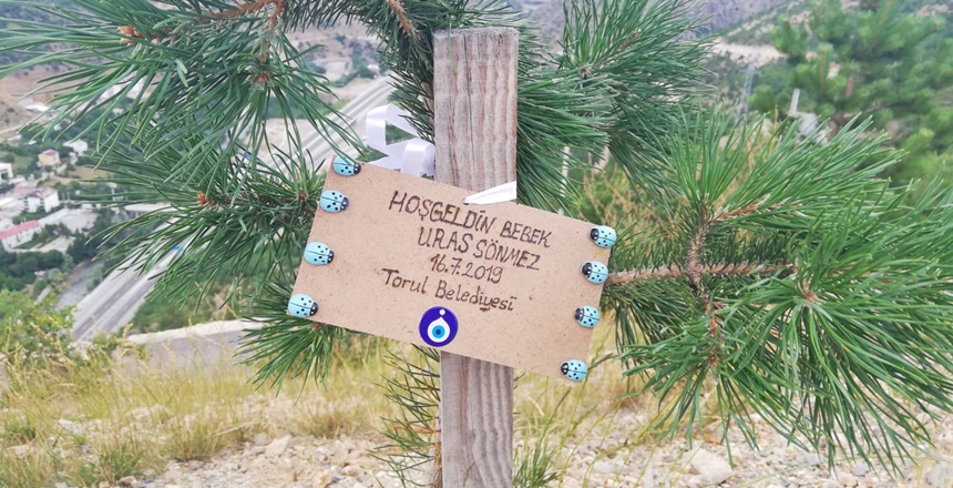 Torul Belediyesi her doğan bebek adına fidan dikiyor Gümüşhane’nin Torul