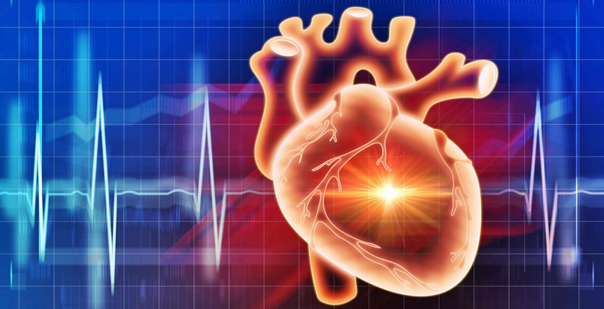 Karadeniz Bölgesi’nin anjiyo ünitesi olmayan iki ilinden biri olan Gümüşhane’ye