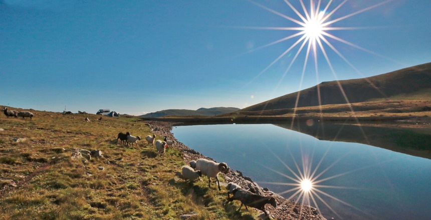 HABER VE FOTOĞRAFLAR: ADEM EZBER Gümüşhane Çaltılı, Kurtoğlu ve Kazantaş