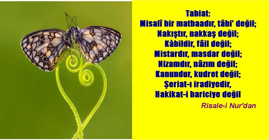 Günümüzün Kur’an tefsiri yazarlarından Bediüzzaman Said Nursi, “Risale-i Nur” adlı