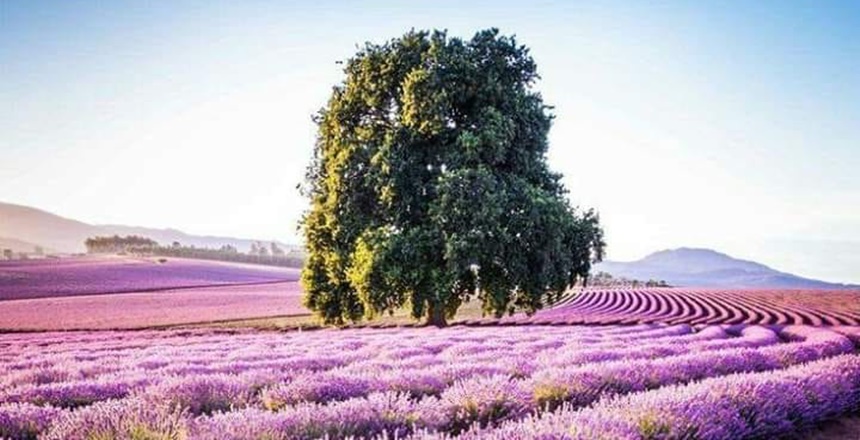 İsmi-i Kuddûs: Allah’ın her türlü kusurdan ve çirkinlikten uzak olduğunu