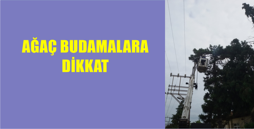 Çoruh Elektrik Dağıtım A.Ş. sorumluluk bölgesi içerisinde tüketicilerine kaliteli ve