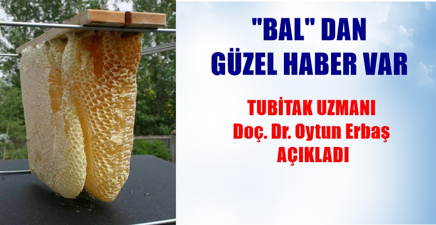 ANADOLU AJANSI’NIN HABERİ TÜBİTAK deneysel tıp uzmanı ve ARGE Laboratuvarı