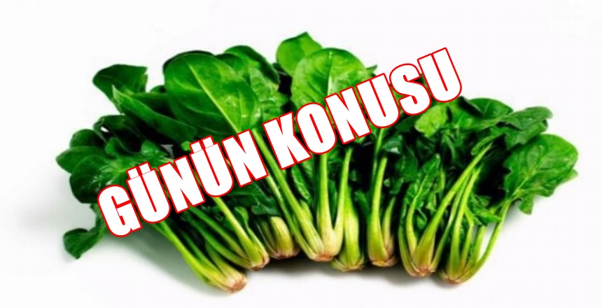 İstanbul Okan Üniversitesi Hastanesi Beslenme ve Diyet Uzmanı Dyt. Derya