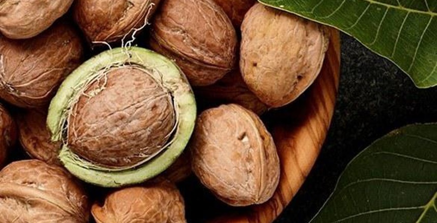 S.Vedat Karaarslan Arkeolog- Y. Mühendis Ceviz ağacından düşenin iflah olmadığı,