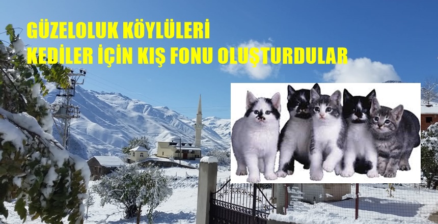 Gümüşhane’nin Torul ilçesi Güzeloluk köyünde fare ve yılan gibi zararlılara