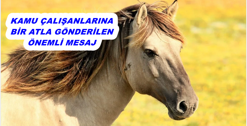 Osmanlı’nın ilk Şeyhülislamı olan Molla Fenarî Hazretleri Bursa kadısı iken