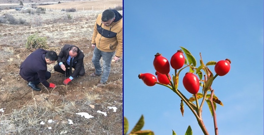 Kelkit Ticaret ve Sanayi Odası Yönetim Kurulu Başkan Yardımcısı ve