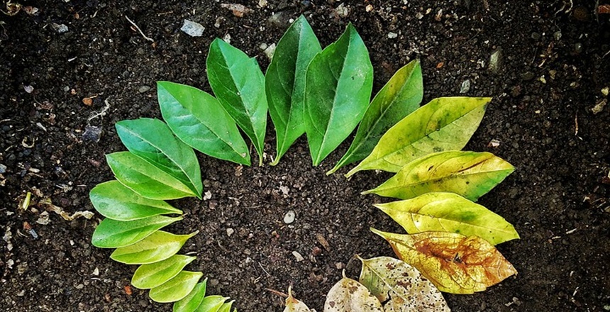 Eğitimci yazar Altan Ekmen yazdı Ortalama ömür ülkemizde 10 yaş