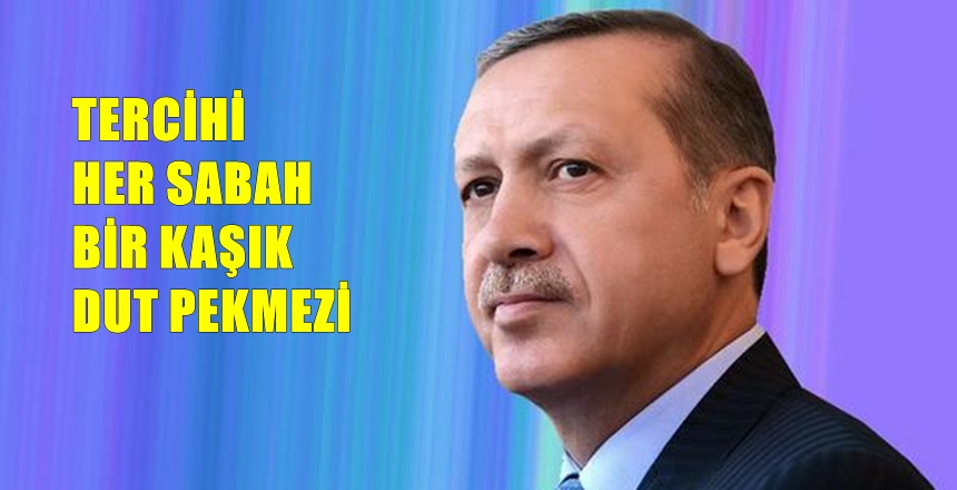 Cumhurbaşkanımız Recep Tayyip&nbsp;Erdoğan, Ukrayna ziyaretinden yurda dönüşünde uçakta gazetecilere çeşitli