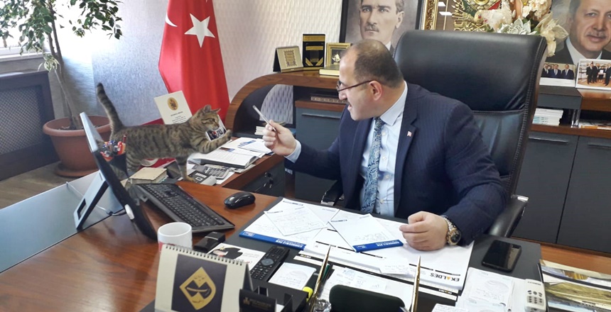 Trabzon Arsin Beldiye Başkanı Muhammet Said Gürsoy’un makam odası. Tarih