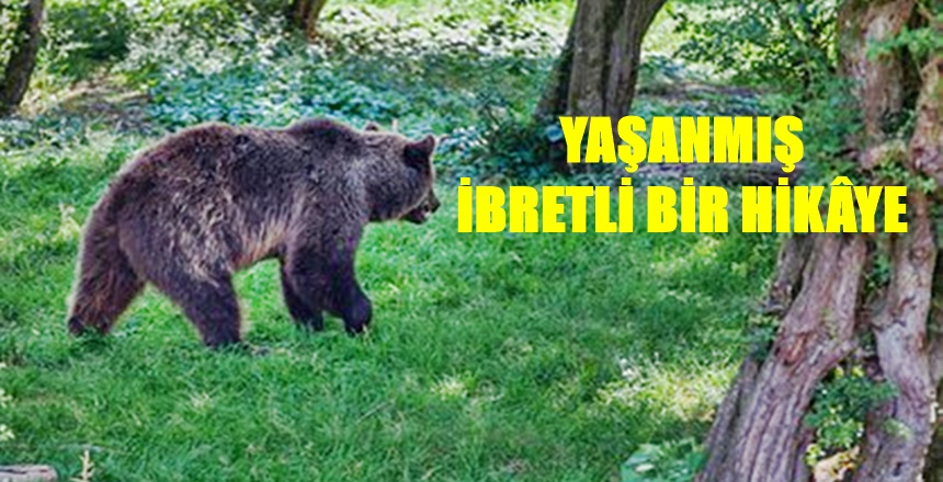 Olay 2001 yılında Kelkit’in bir dağ köyünde geçer. 45 yaşındaki