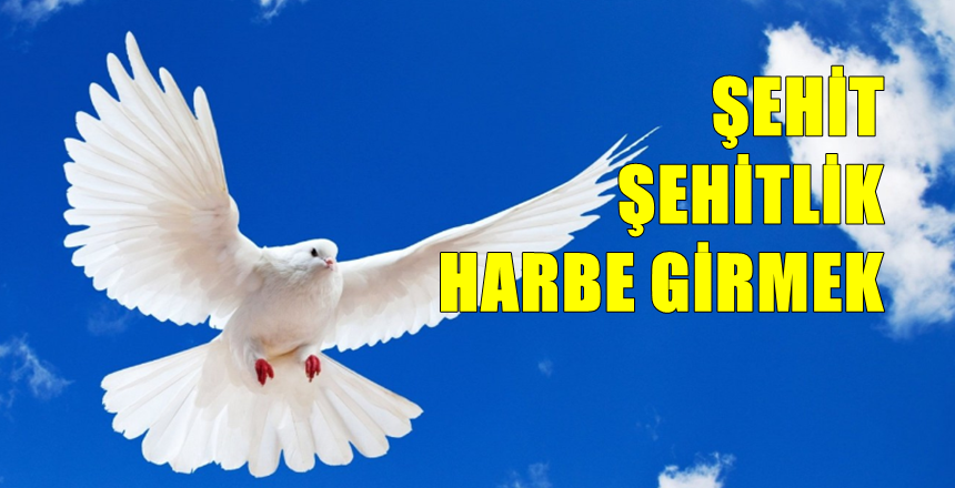 Günümüzde insanların çokca merak ettiği şehit, şehitlik, harbe girmek gibi