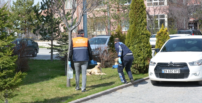 Koronavirüs salgın hastalığına karşı alınan önlemlerden dolayı sokaklarda evsel atıkların