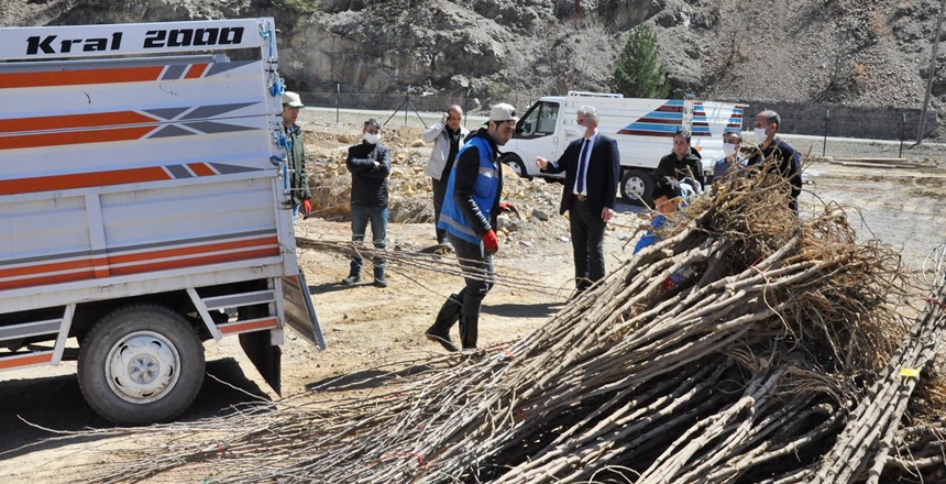 Gümüşhane’de İl Tarım ve Orman Müdürlüğü tarafından yürütülen ‘Ceviz Yetiştiriciliği