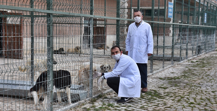 Gümüşhane Belediyesi yeni tip koronavirüs (Kovid-19) salgını nedeniyle yiyecek bulmakta