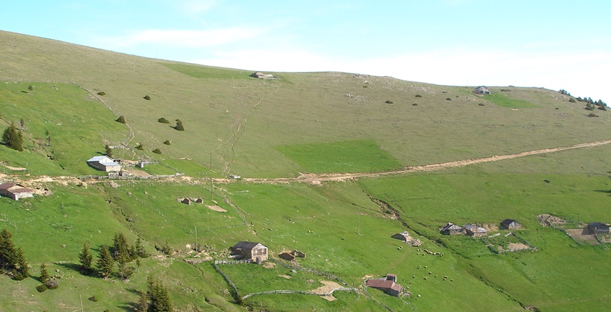 Gümüşhane İlinde, 2020 yılı Mevsimlik Mera/Yaylak kiralama ihalesi Mayıs 2020