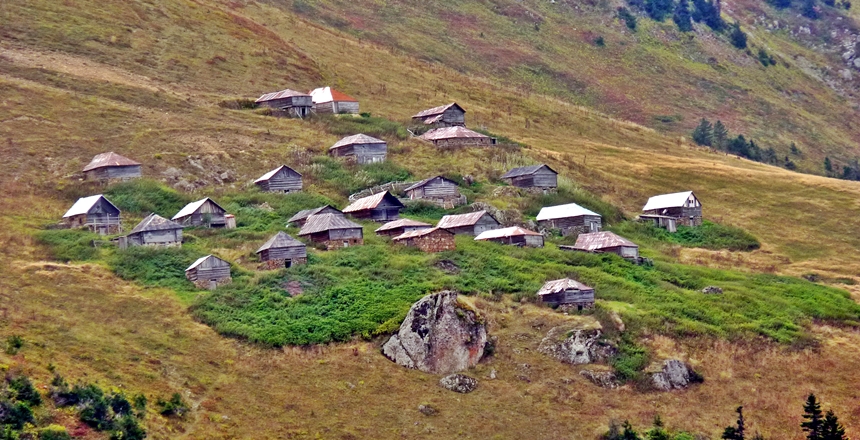 Mera ve yaylak alanlarının ıslahı ve verimli şekilde kullanılması ile