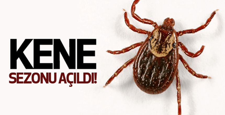 Uzun yıllardan beri Gümüşhane ili için büyük tehlike oluşturan ve