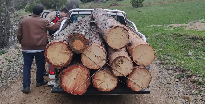 Gümüşhane’nin Kelkit İlçesi Ünlüpınar Beldesi Harmancık yaylasında ormanlık alanda kaçak