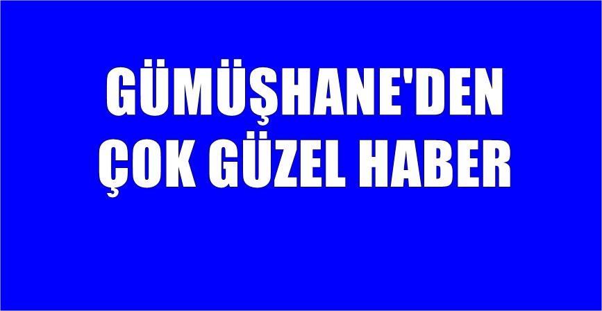 Gümüşhane İl Emniyet Müdürlüğü Trafik Tescil ve Denetleme Şube Müdürlüğü