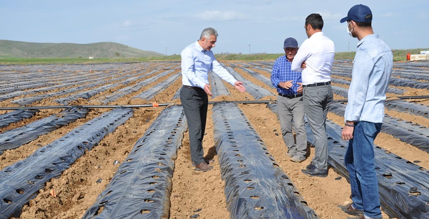 Gümüşhane’nin Köse İlçesi Gökçeköy köyünde 16 dönüm alanda yeni kurulan