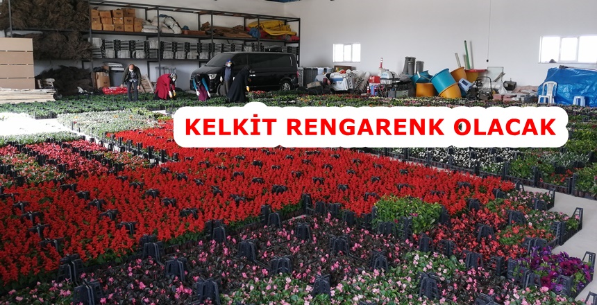 Kelkit Belediyesi Park ve Bahçeler Müdürlüğü ekipleri İlçe sınırları içinde