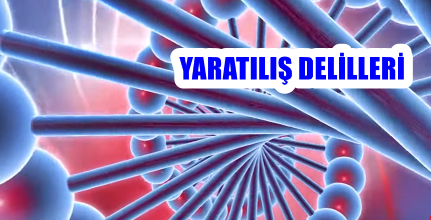 KAYNAK: FEYYAZ TV KAYNAK LINK: https://feyyaz.tv/