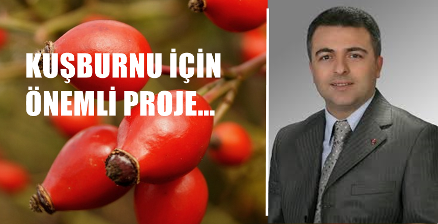 Gümüşhane’nin sevilen simalarından Veli Yılmaz, uzun zamandanberi İstanbul’da ikamet ediyor.