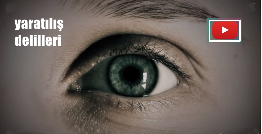 FEYYAZ TV HAZIRLADI – YARATILIŞ DELİLLERİ KAYNAK: FEYYAZ.TV AKTİF KAYNAK
