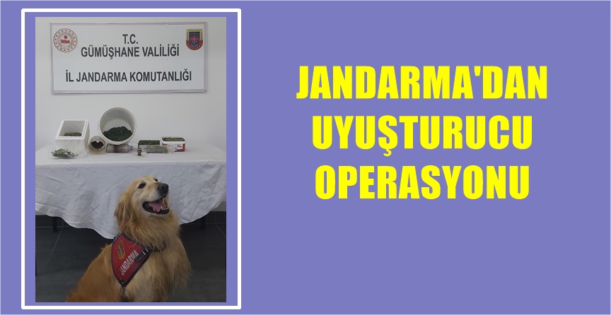 Gümüşhane İl Jandarma Komutanlığınca yapılan istihbari çalışma neticesinde, Merkez İlçe