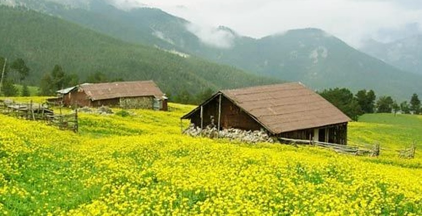 Gümüşhane’de 2020 yılı otlatma mevsiminde mera ve yaylakların kiralanması, kullanımı,